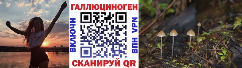 Псилоцибиновые грибы ЛСД  Бердск 